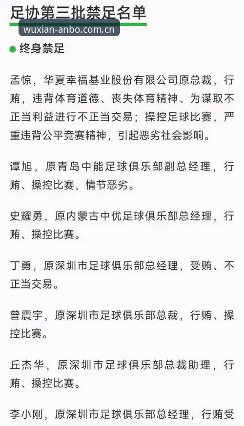 中国足协第三批禁足名单全解析：65人受罚，17人终身禁赛